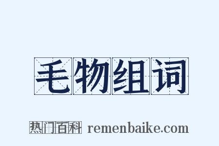 毛物组词是什么意思的图片